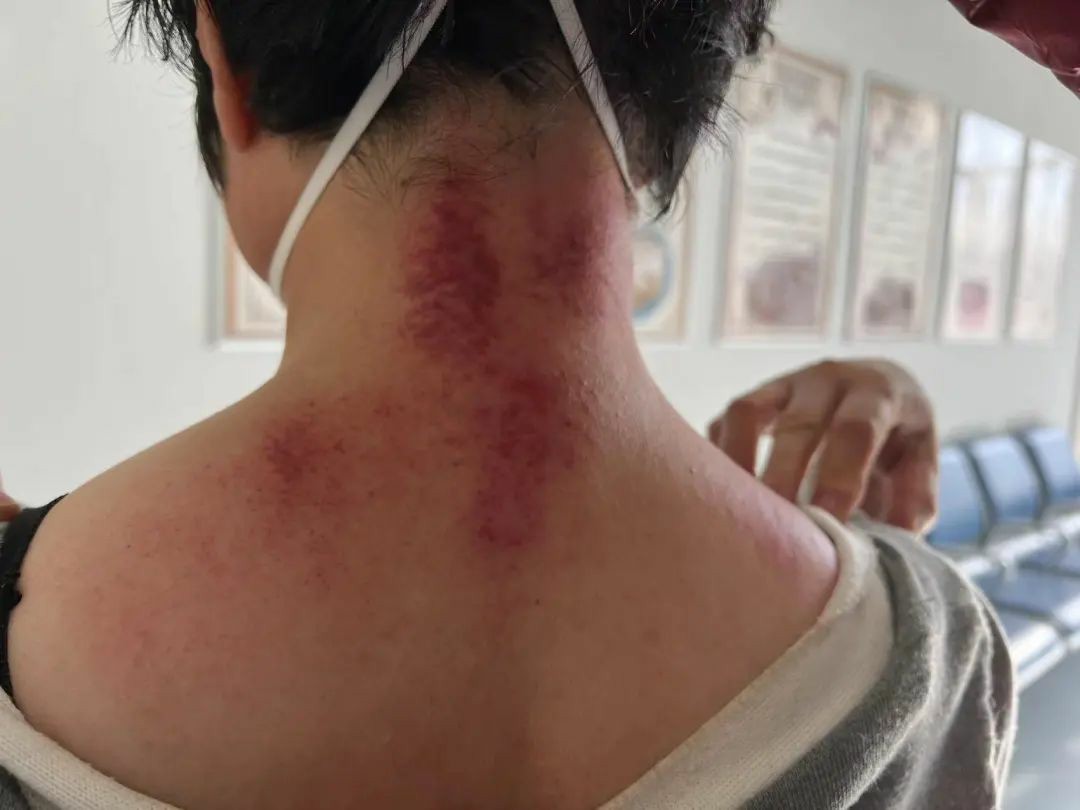 1676603145717942.jpg 640 (1)~1.jpg